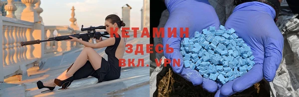 индика Ладушкин