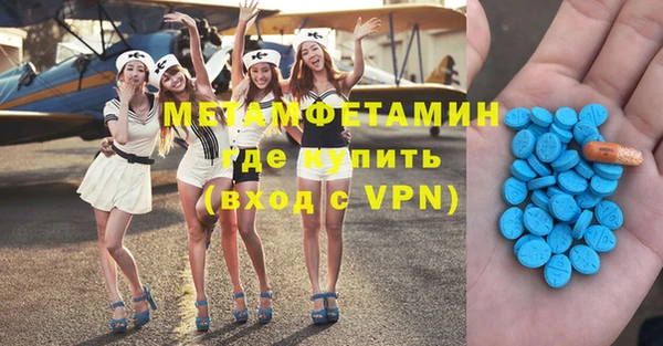 индика Ладушкин