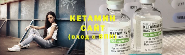 индика Ладушкин