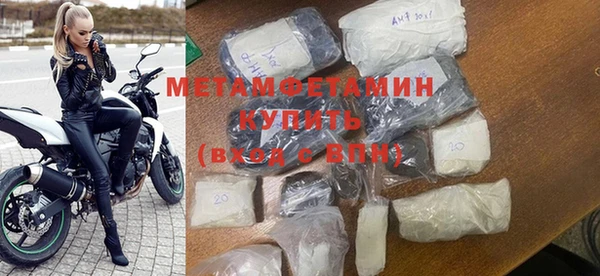индика Ладушкин