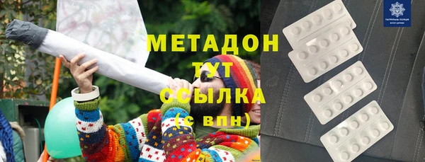 индика Ладушкин