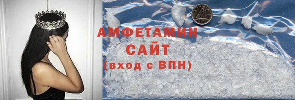 индика Ладушкин