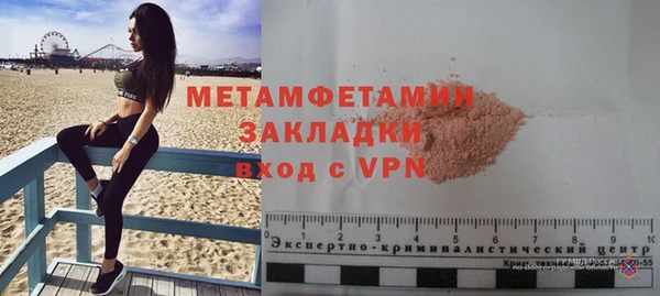 индика Ладушкин