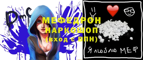 индика Ладушкин