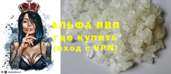 индика Ладушкин