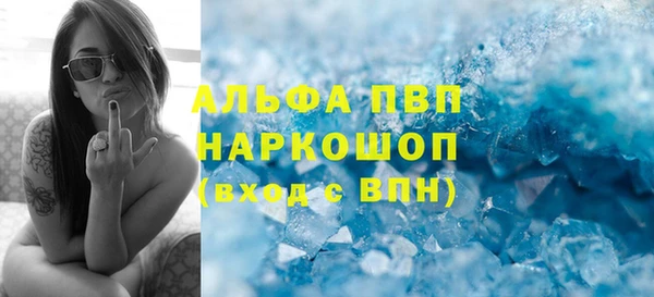 индика Ладушкин
