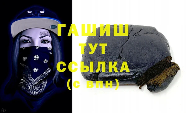 индика Ладушкин