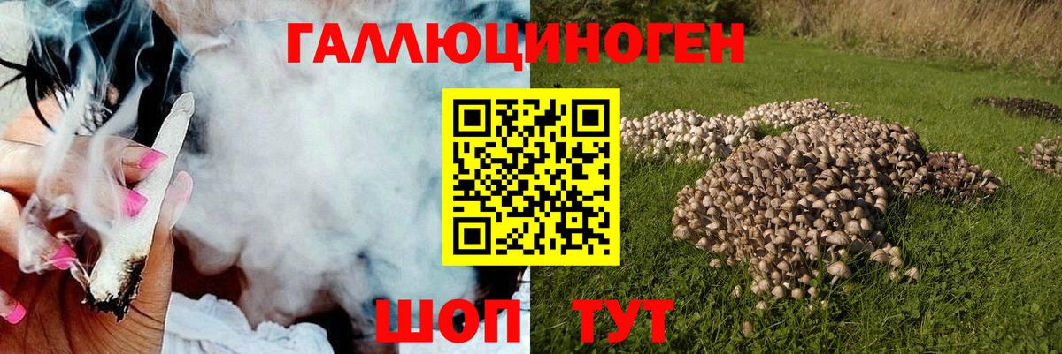 Галлюциногенные грибы мицелий  Вход с VPN  Нарьян-Мар 