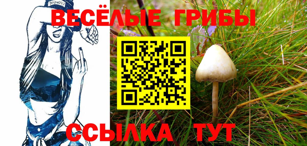 Галлюциногенные грибы прущие грибы Нарьян-Мар