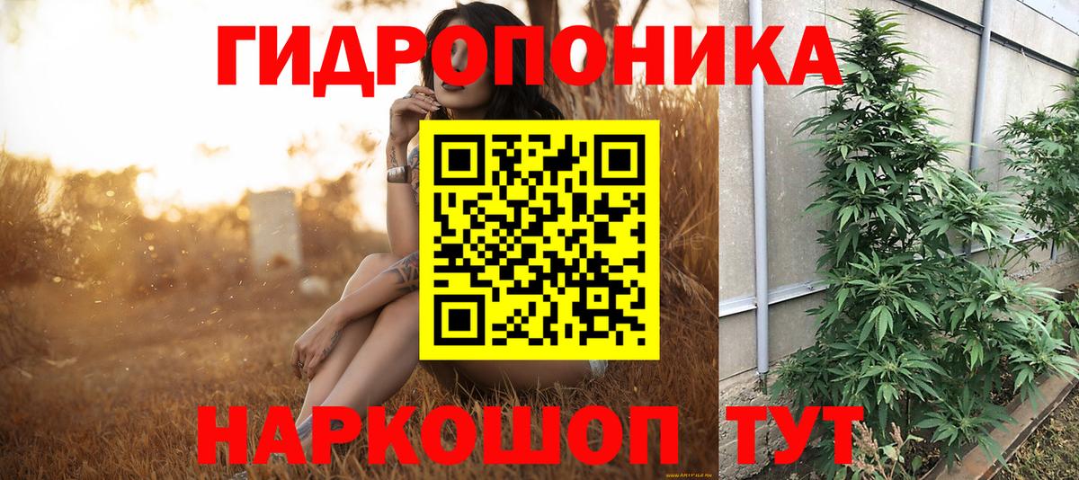 Нарьян-Мар  Канабис сатива  Бошки марихуана OG Kush  Вход с VPN 